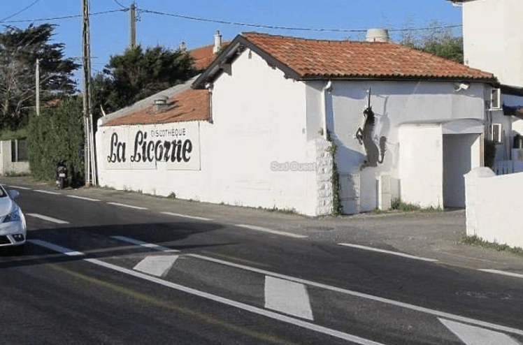 la-licorne-bidart-location-marty-surf-delivery