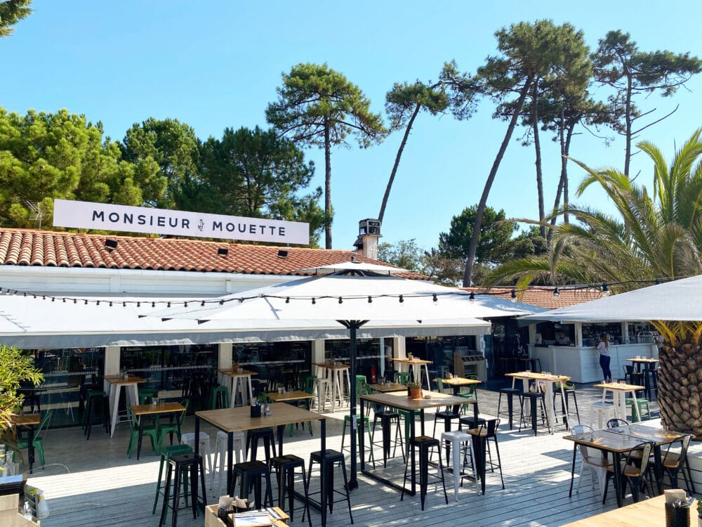 monsieur-mouette-hossegor-location-marty-surf-delivery